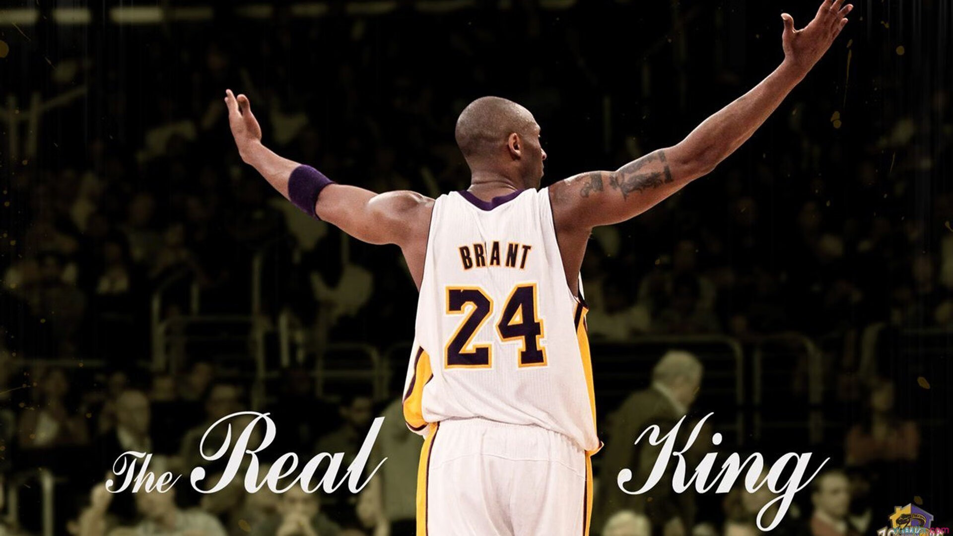 开云体育官网下载-命中率全联盟最高的球队盘点，命中率最高的nba球员